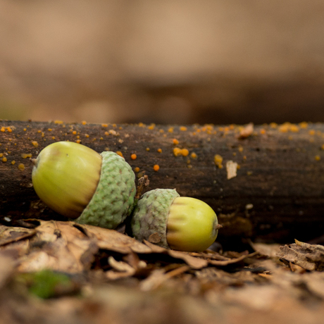 Stukje van de herfst