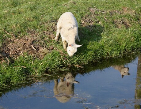 spiegeltje, spiegeltje aan de wand