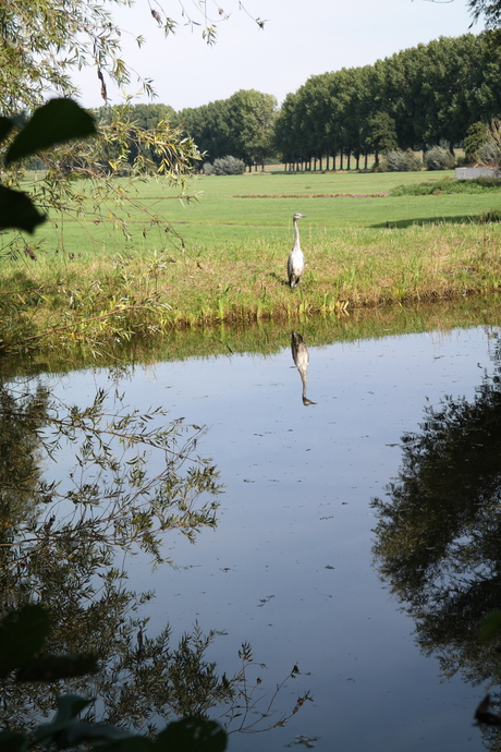 spiegelbeeld