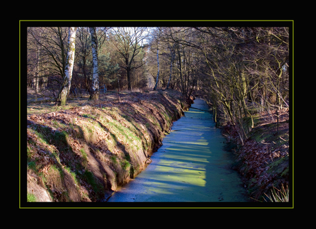 Groene sloot