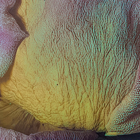 Vervreemding van ...