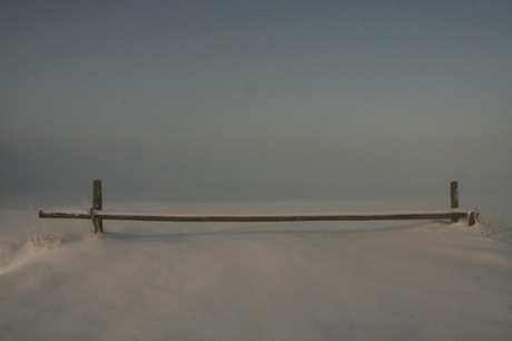 winter 2010