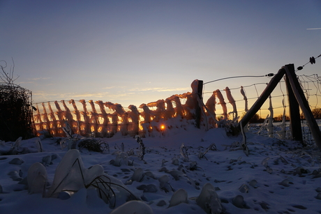 Opgaande zon schijnt door bevroren hek