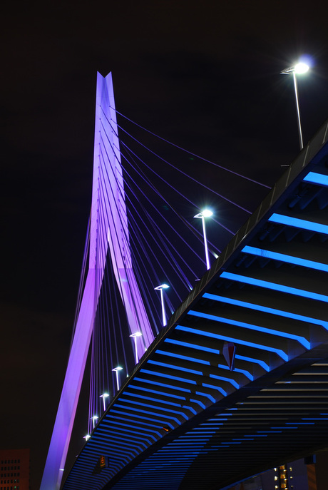 Erasmusbrug Rotterdam