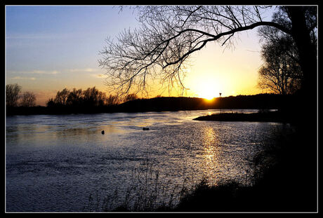 Langs de rijn(2)