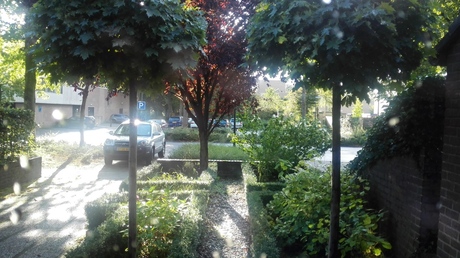 Tegenlicht door mijn keukenraam