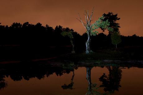 Light Painting 3