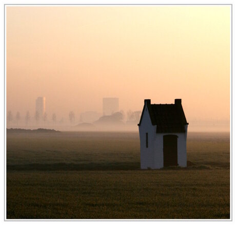 Polder in ochtendgloren