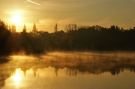 Golden Water