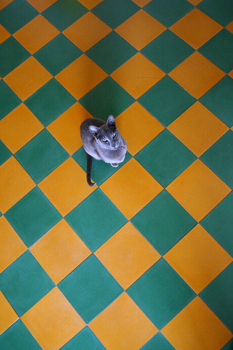 Orange, green, orange, green...