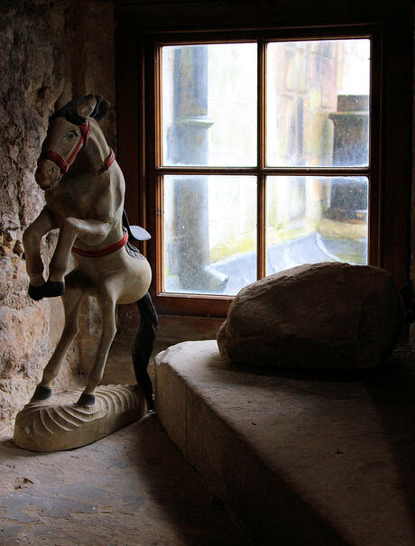 Catch the Light.....