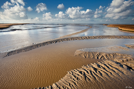 Waddenkleuren