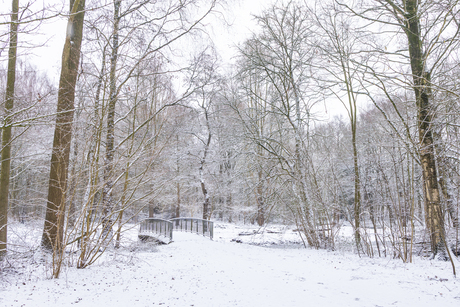 Bruggetje van de witte wereld naar de witte wereld