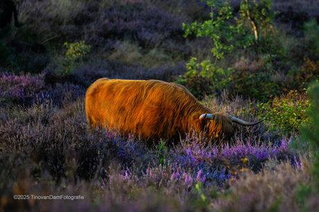 Big brother= watching you