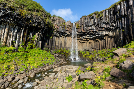 Svartifoss - De basalt waterval
