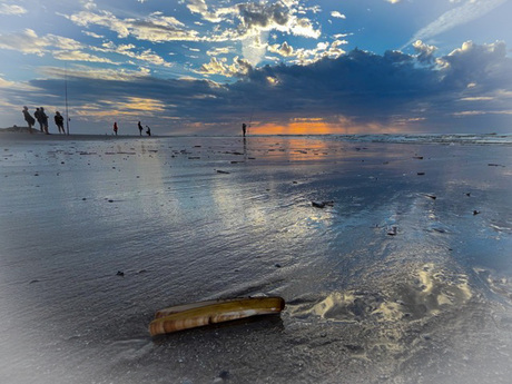 Strand Terschelling