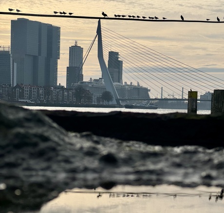 Weer eens wat anders