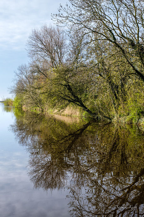 Spiegelingen