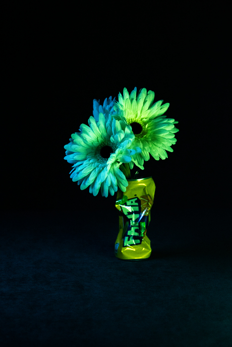 Bloemen met licht 3