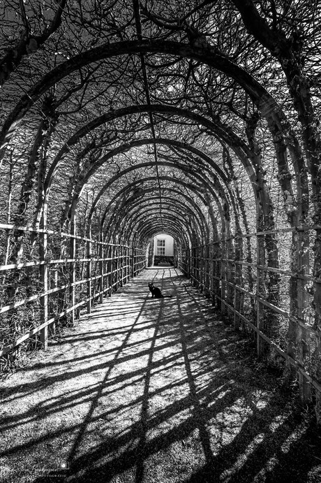 Het Verlaten Paleispad.