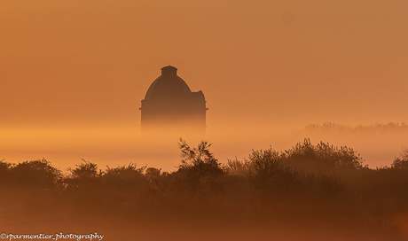 Ochtendgloren in de mist