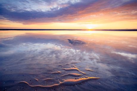 Reflection