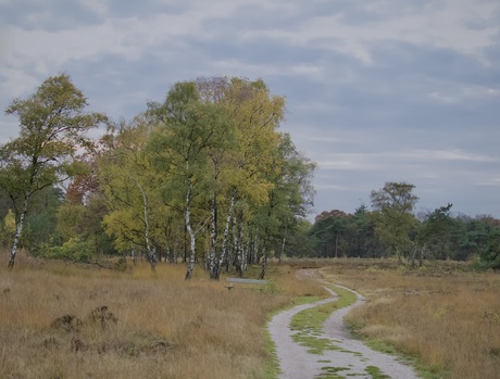 Landschap