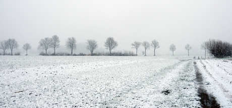 Winterlandschapsfoto