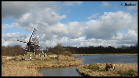 Watermolen met paard