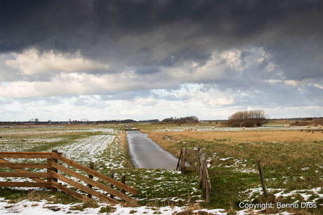 Natuurgebied - De Petten 