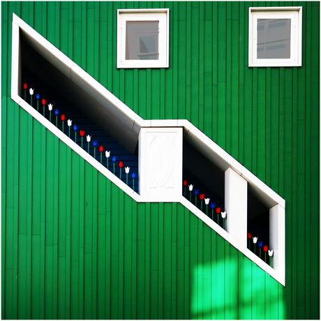 Zaandam 2