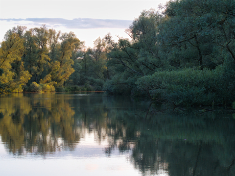 De mooie Biesbosch