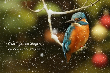 Gezellige feestdagen