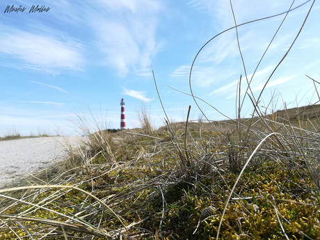 Ameland