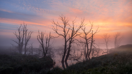 Zonsopkomst met mist in de Biesbosch 08-09-2025