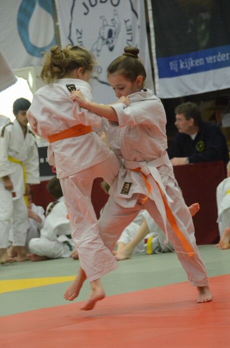 Judo Lianne 16-02-2013.jpg