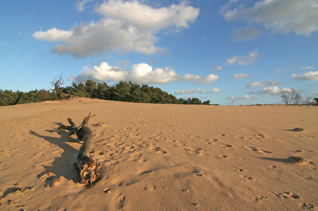 hulshorsterzand