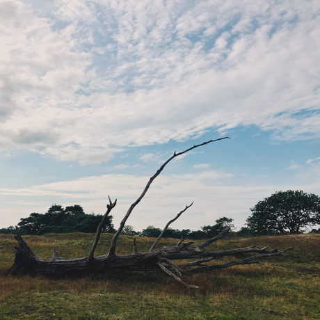 Beginner landschapsfoto’s 