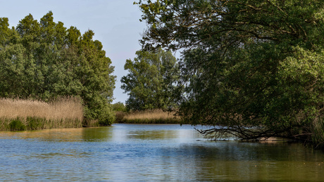 waterlandschap