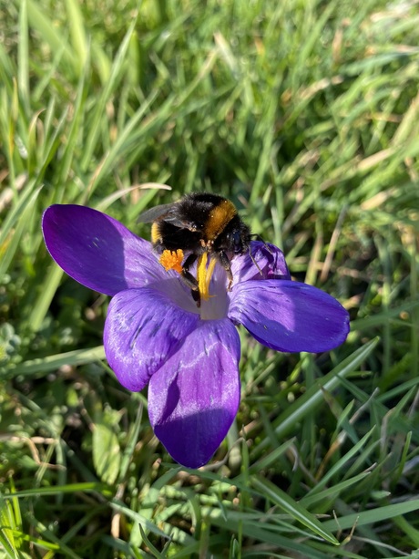 Hard werken, zoete beloning