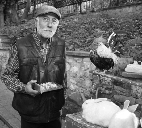 Fortuneteller with animals