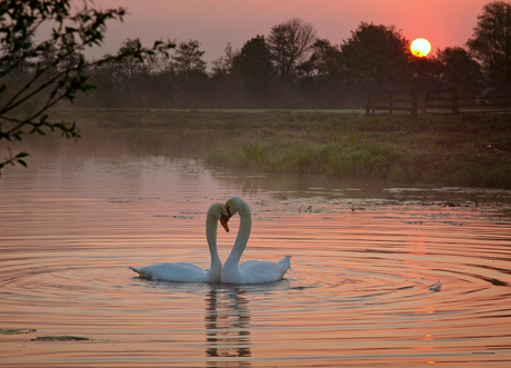 Promise at sunrise