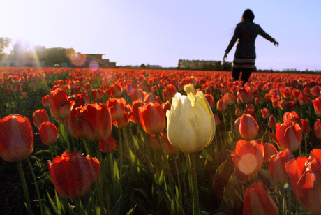 Lente komt er weer aan