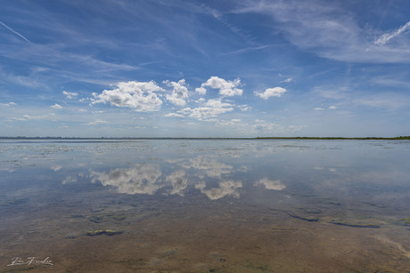 De Waddenzee