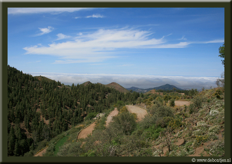 Roque Nublo