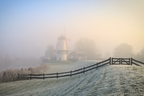 Molen de Vlinder 