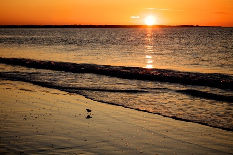 Aan de Zeeuwse Kust