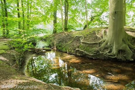 Sprookje in Hulshorst