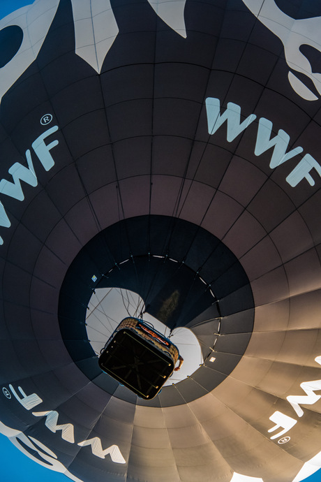 Up