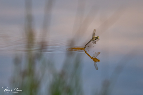 'Touchdown' in de gouden spiegel 📸